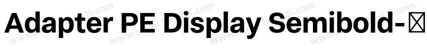 Adapter PE Display Semibold字体转换